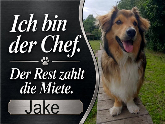 Hundeschild „Ich bin der Chef“ – personalisiert mit Foto & Name