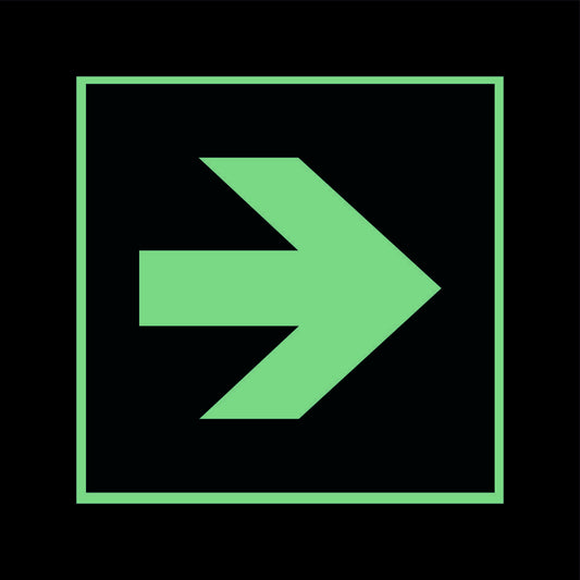 Fluchtwegschild Alu verschiedene Größen Permalight power 150/22 "Richtungspfeil gerade"